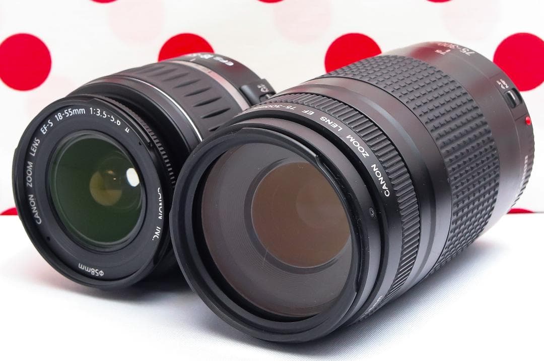 Canon EOS Kiss X2❤超望遠ダブルレンズ❤スマホに転送❤初心者安心