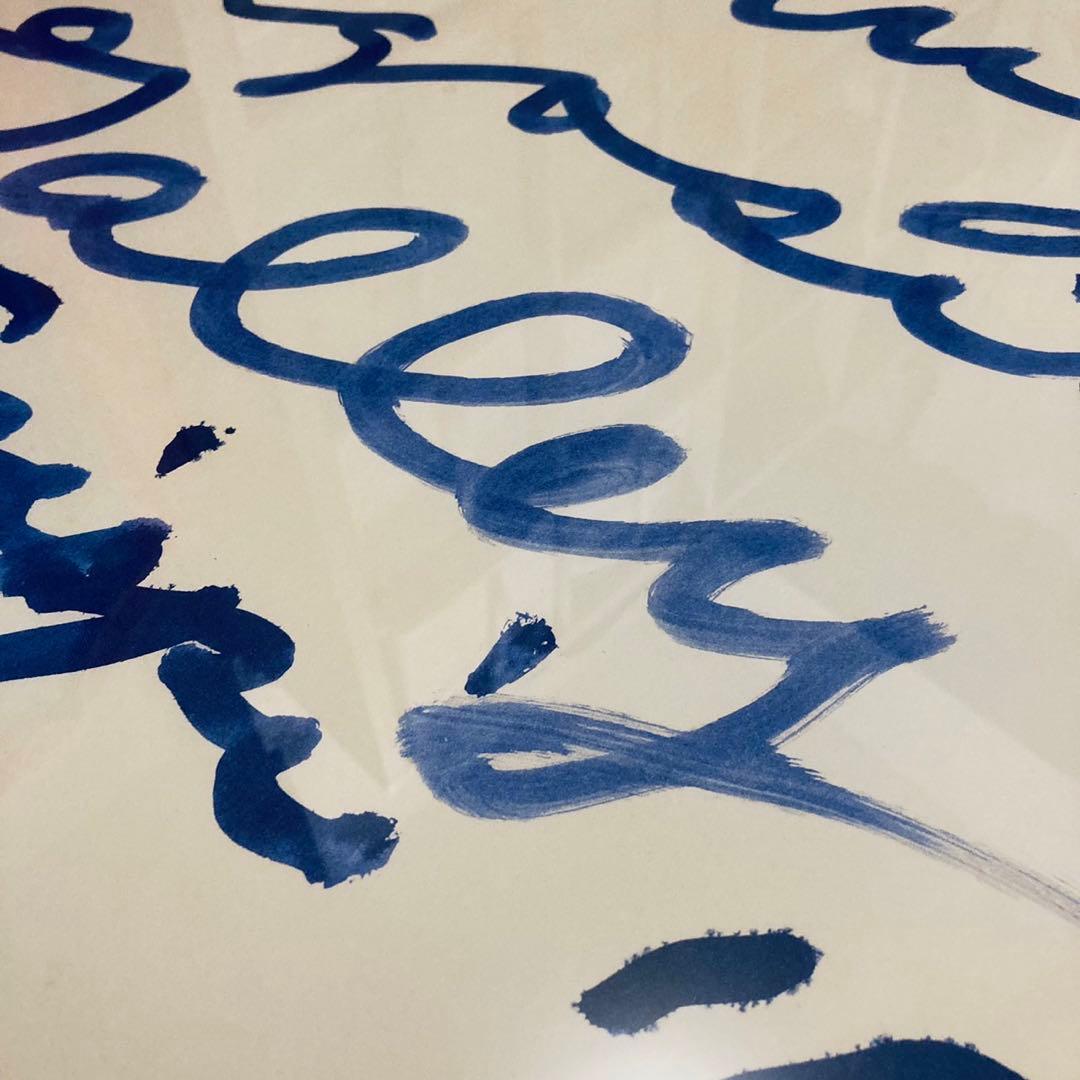 デッドストック正規品Cy Twombly サイトゥオンブリー 特徴額装済ポスター