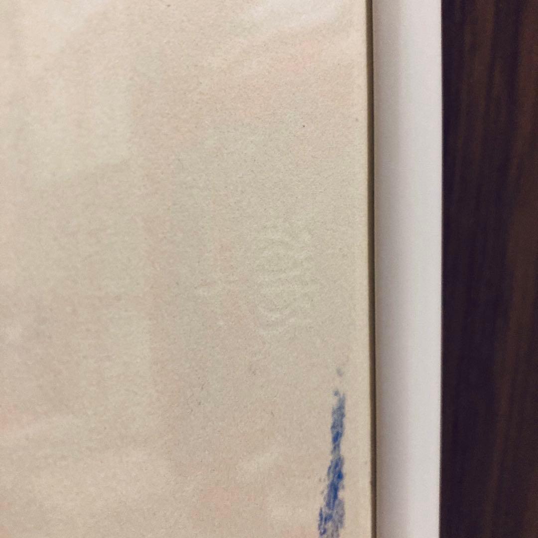 デッドストック正規品Cy Twombly サイトゥオンブリー 特徴額装済ポスター