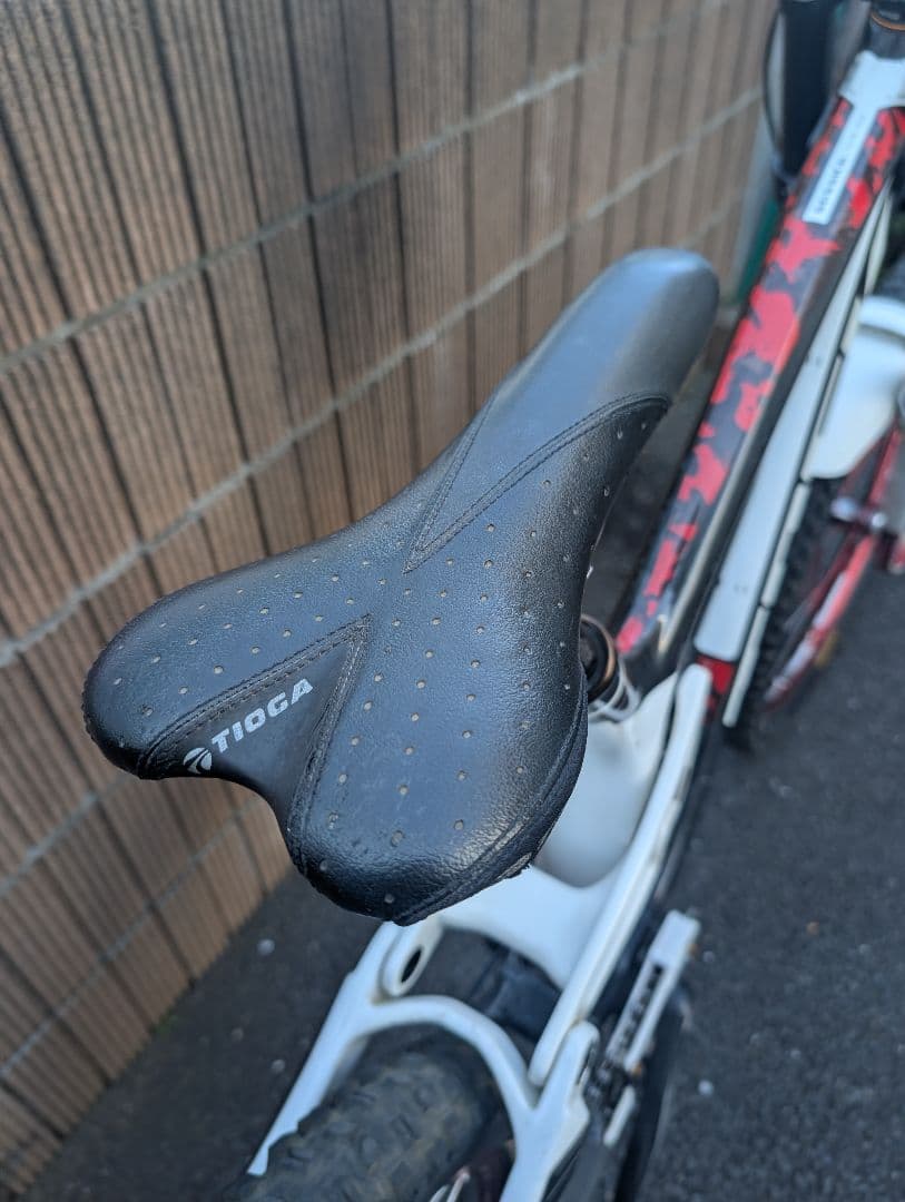 TREK Session 9.9 Carbon 26インチダウンヒルバイク