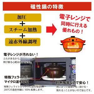 日本製 磁性鍋(両手鍋M)