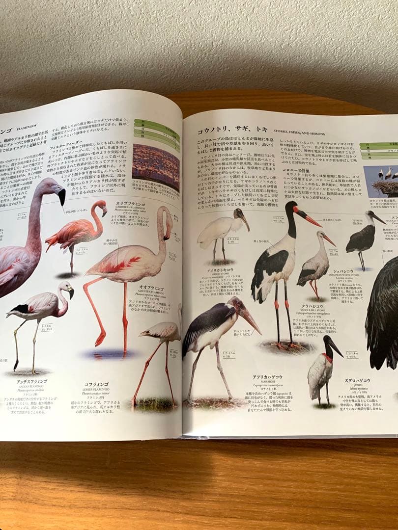 地球博物学大図鑑 東京書籍