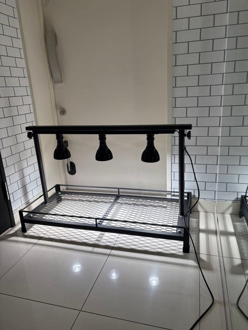 ②ミニ植物棚　卓上植物棚　アガベ　シーザー　ハデス　パキプス　塊根　グラキリス