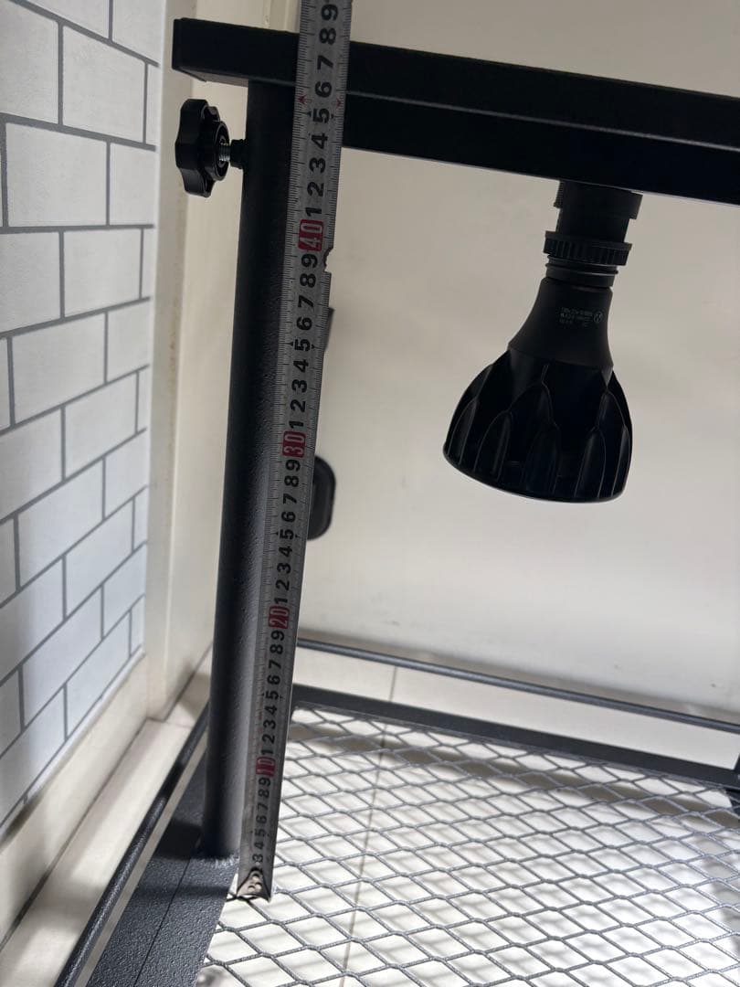 ②ミニ植物棚　卓上植物棚　アガベ　シーザー　ハデス　パキプス　塊根　グラキリス