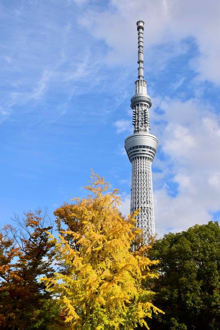 WiFi機能付☆Nikon D5300☆初めての一眼レフに最適♪