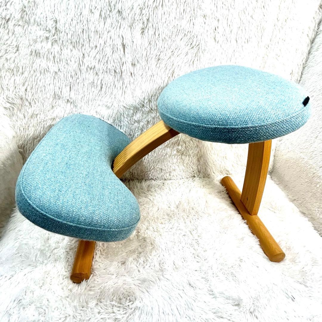 Rybo (サカモトハウス) リボ社 バランスイージー 姿勢矯正チェア