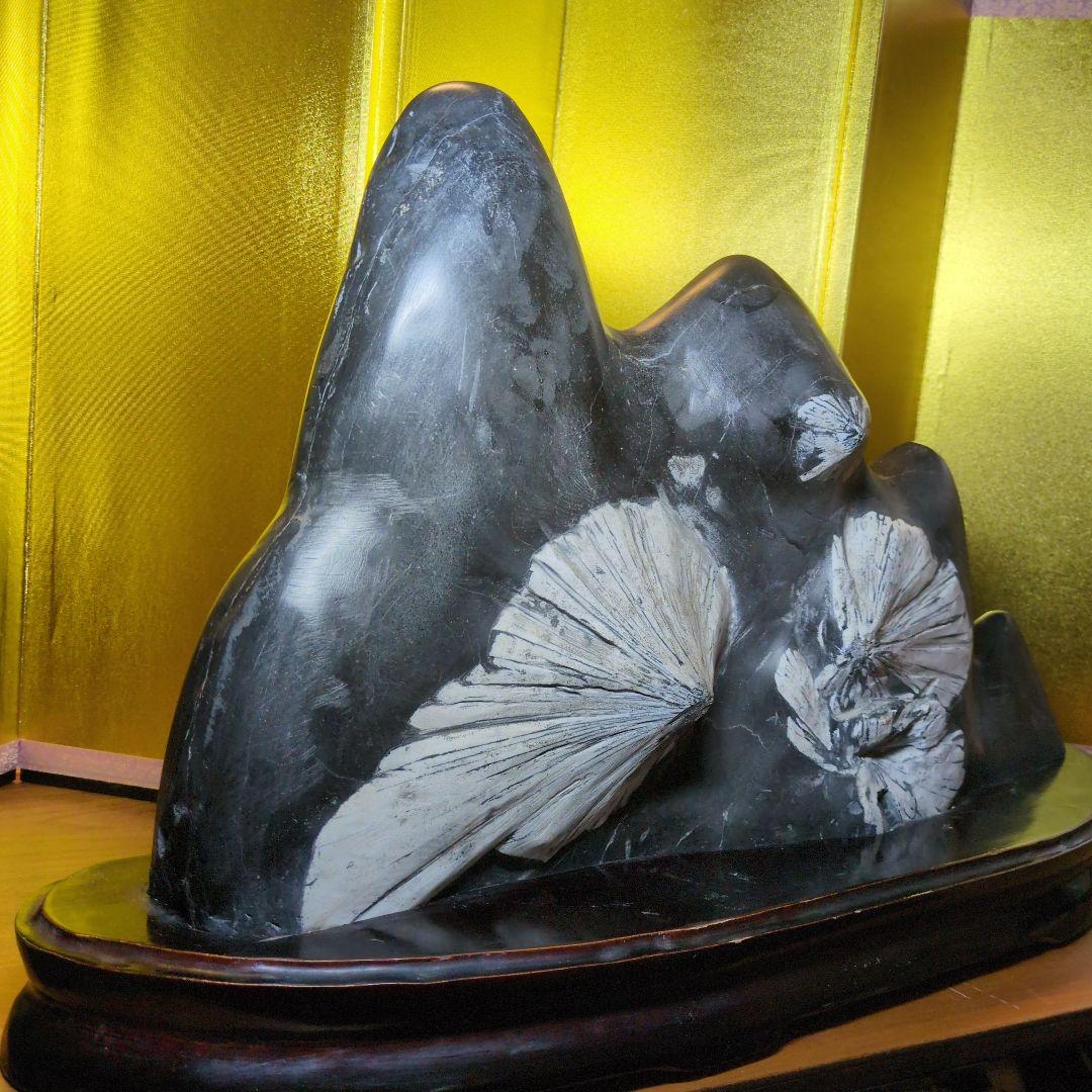 菊花石 16.4kg 根尾谷産 最高級位 自然石 専用台座付き 希少 レア