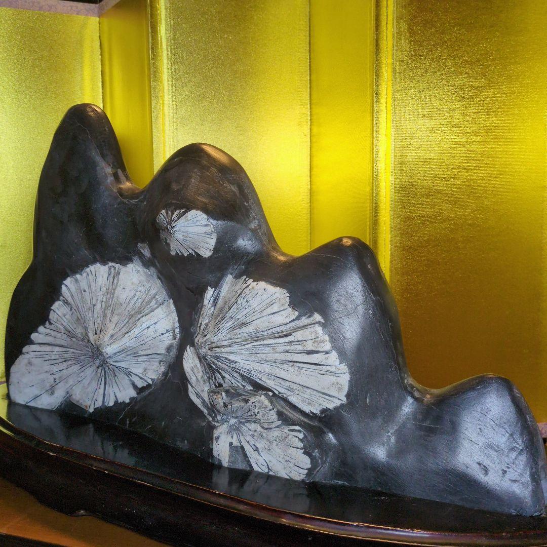 菊花石 16.4kg 根尾谷産 最高級位 自然石 専用台座付き 希少 レア