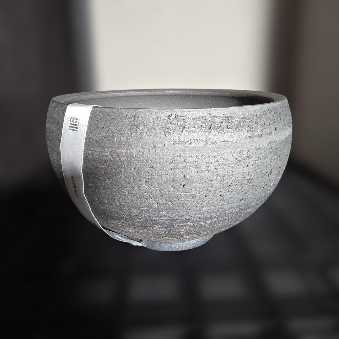 限定50個 三州みやび鉢 パキプス Invisible ink SRL 鶴仙園