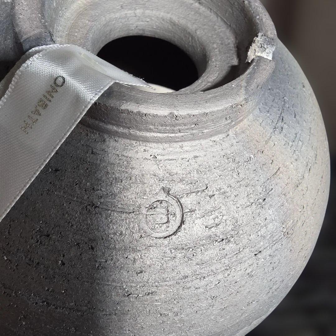 限定50個 三州みやび鉢 パキプス Invisible ink SRL 鶴仙園