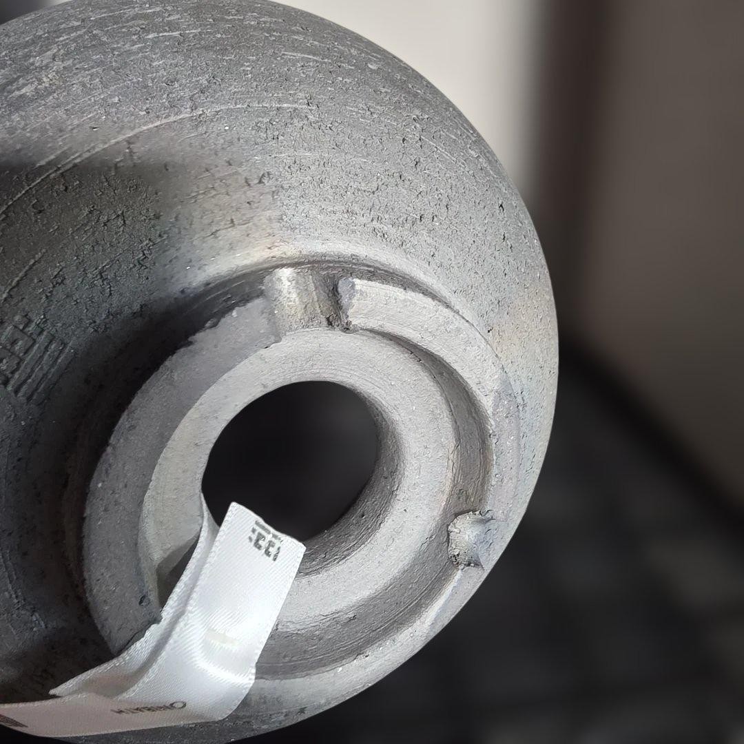 限定50個 三州みやび鉢 パキプス Invisible ink SRL 鶴仙園