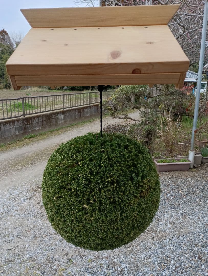 杉玉、屋根(白木作り）付き 約30cm
