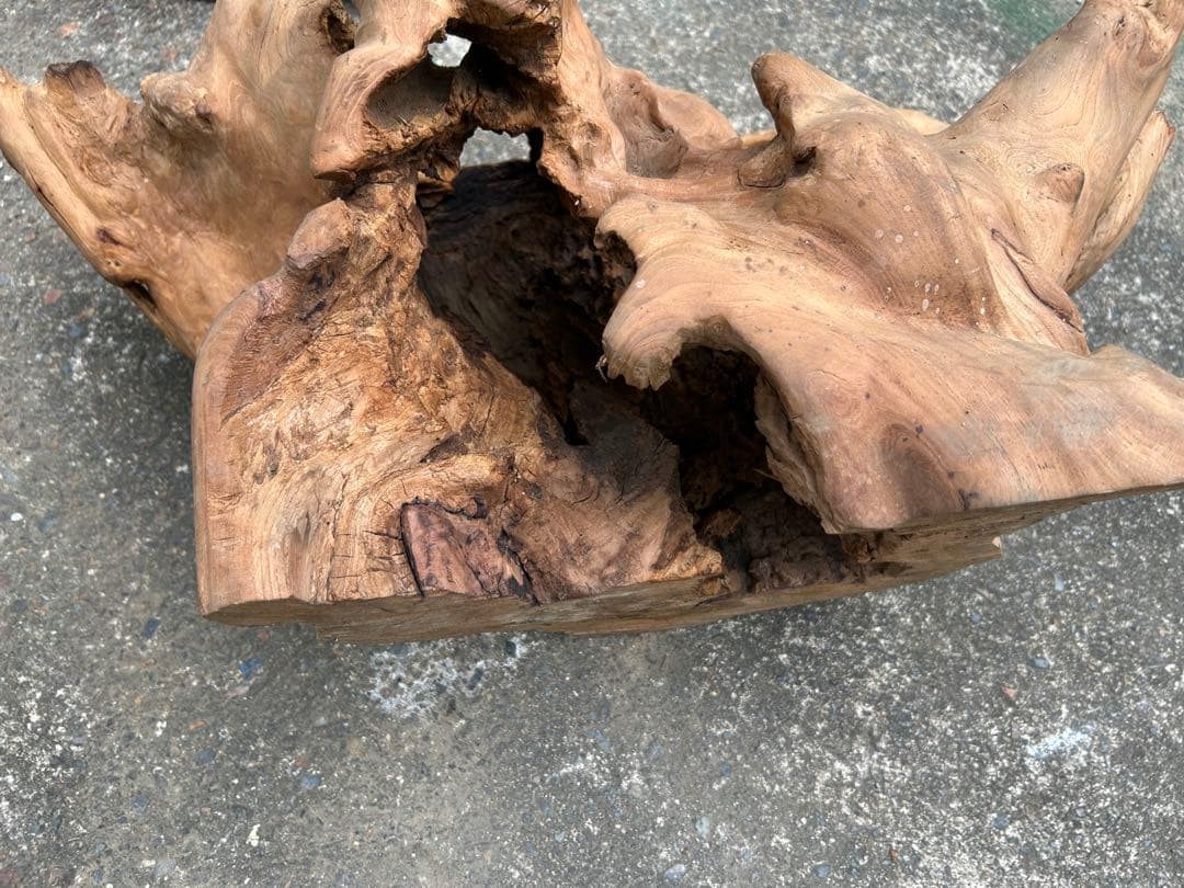 欅 オブジェ インテリア