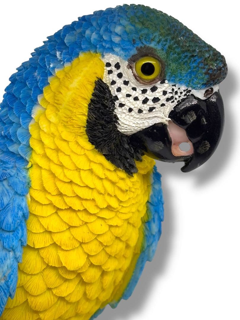 #希少種-ベニコンゴウインコ・ルリコンゴウインコ 樹脂製オブジェ 2体セット