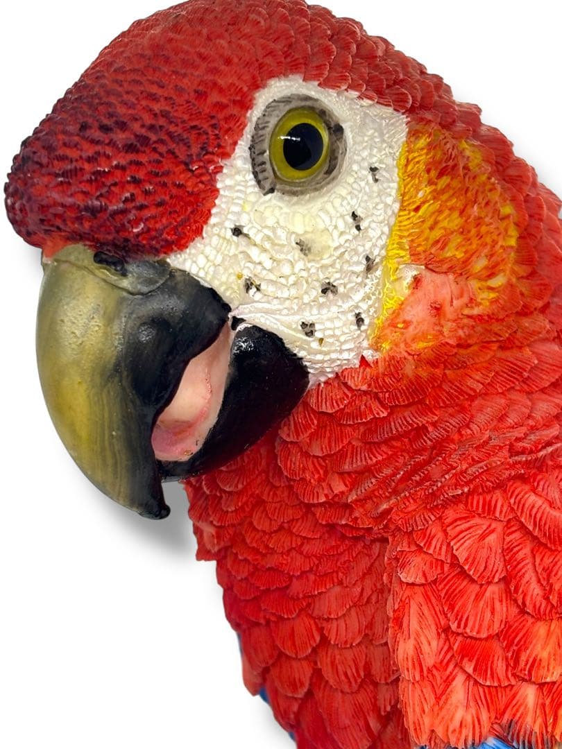 #希少種-ベニコンゴウインコ・ルリコンゴウインコ 樹脂製オブジェ 2体セット