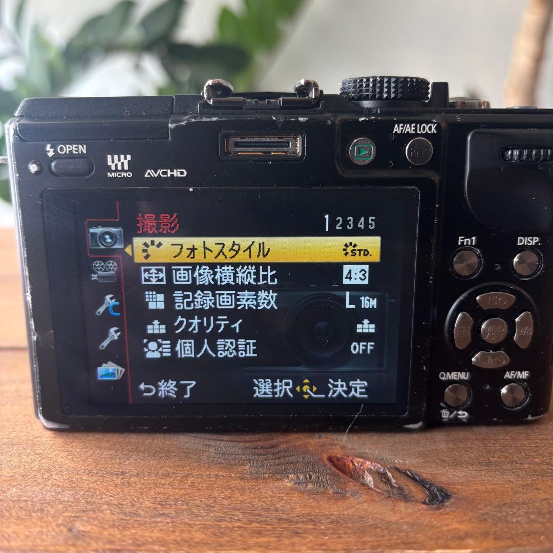 LUMIX GX1 ミラーレスカメラ 本体と充電器