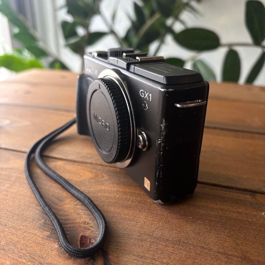 LUMIX GX1 ミラーレスカメラ 本体と充電器