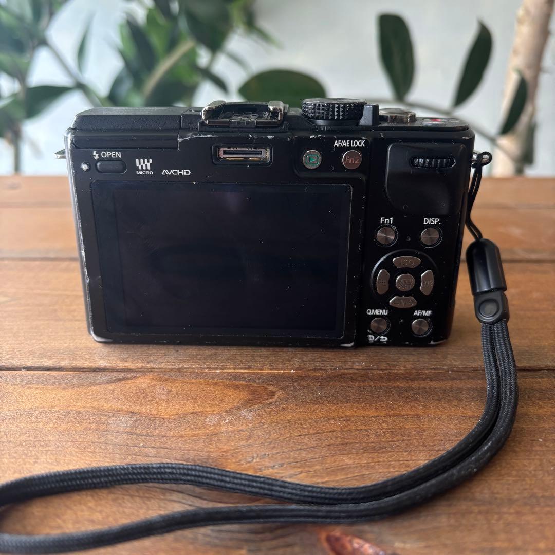 LUMIX GX1 ミラーレスカメラ 本体と充電器