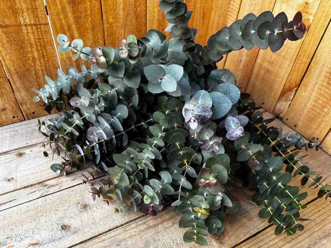 popomama☺︎様 リクエスト 3点 まとめ商品