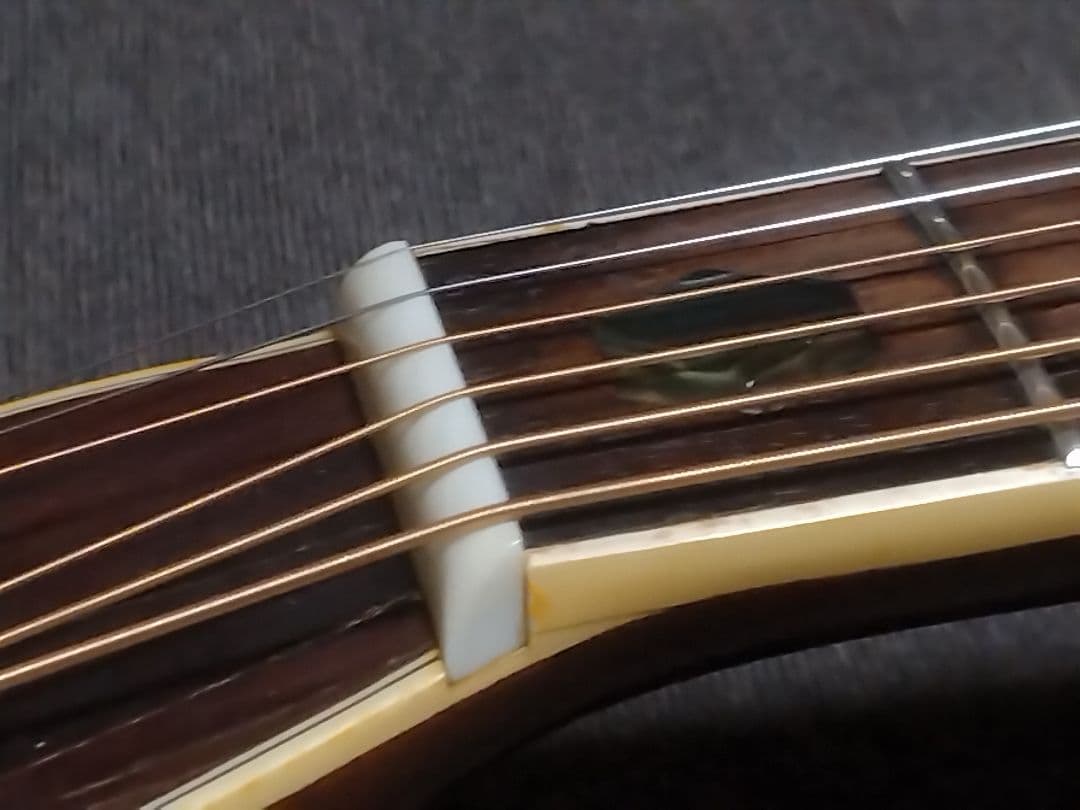 Cats' eyes(キャッツアイ)CE-450D