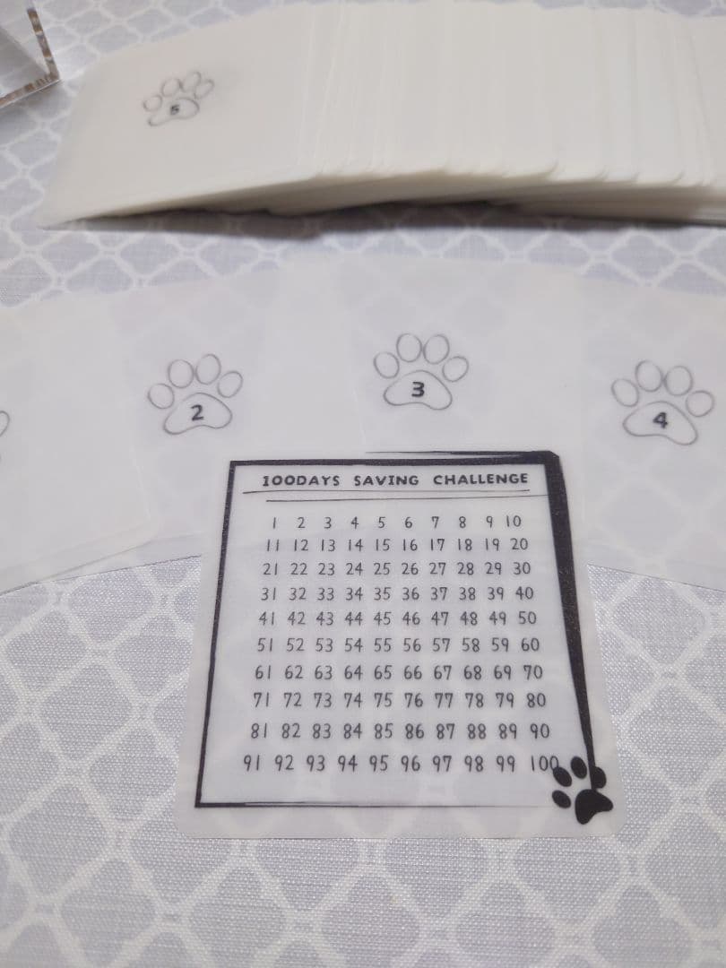 ⭐︎りんりん⭐︎ 100DaysSavingChallengeBox　肉球