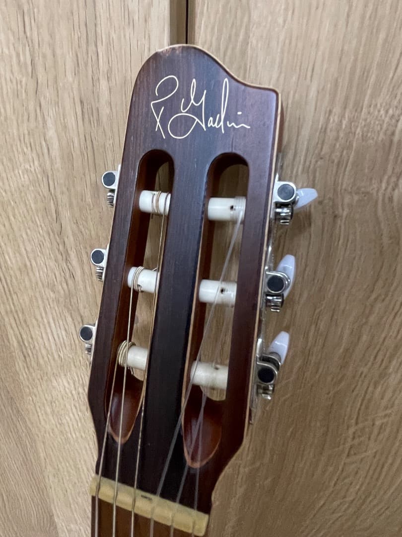 La Patrie Arena CW QIT エレガットギター GODIN製