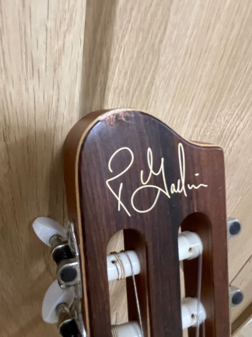 La Patrie Arena CW QIT エレガットギター GODIN製