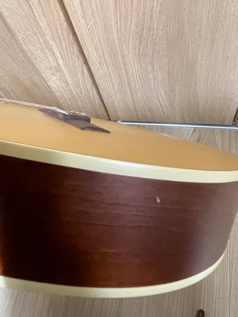 La Patrie Arena CW QIT エレガットギター GODIN製