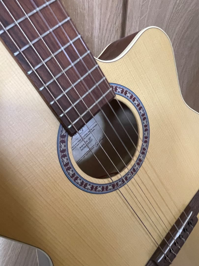 La Patrie Arena CW QIT エレガットギター GODIN製