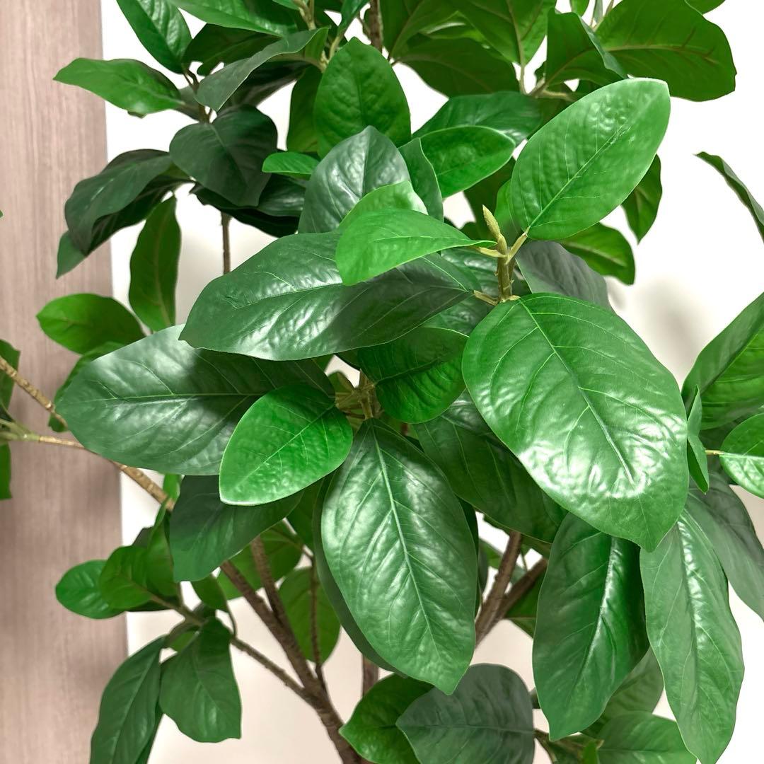 【展示品】大型 フェイクグリーン