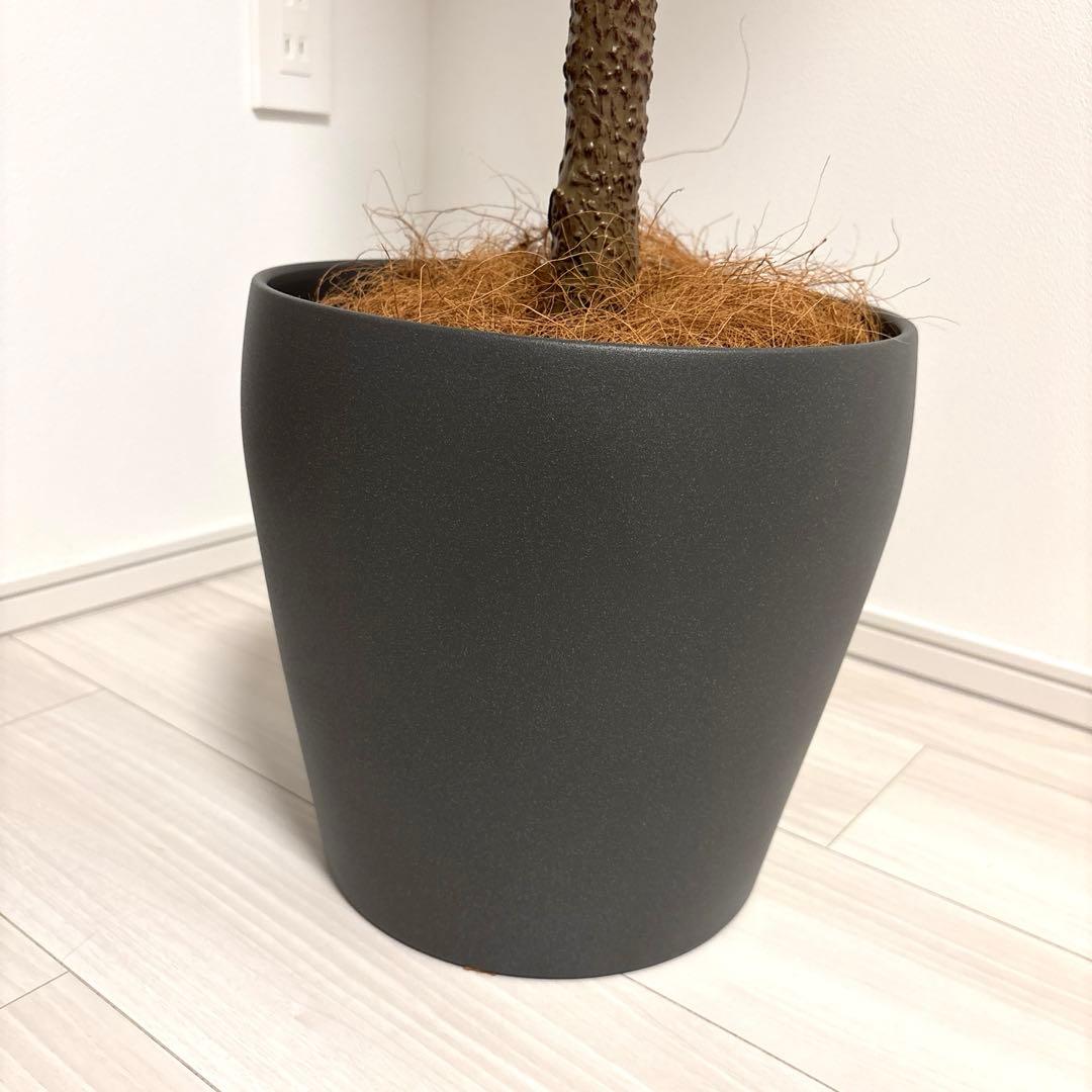 【展示品】大型 フェイクグリーン