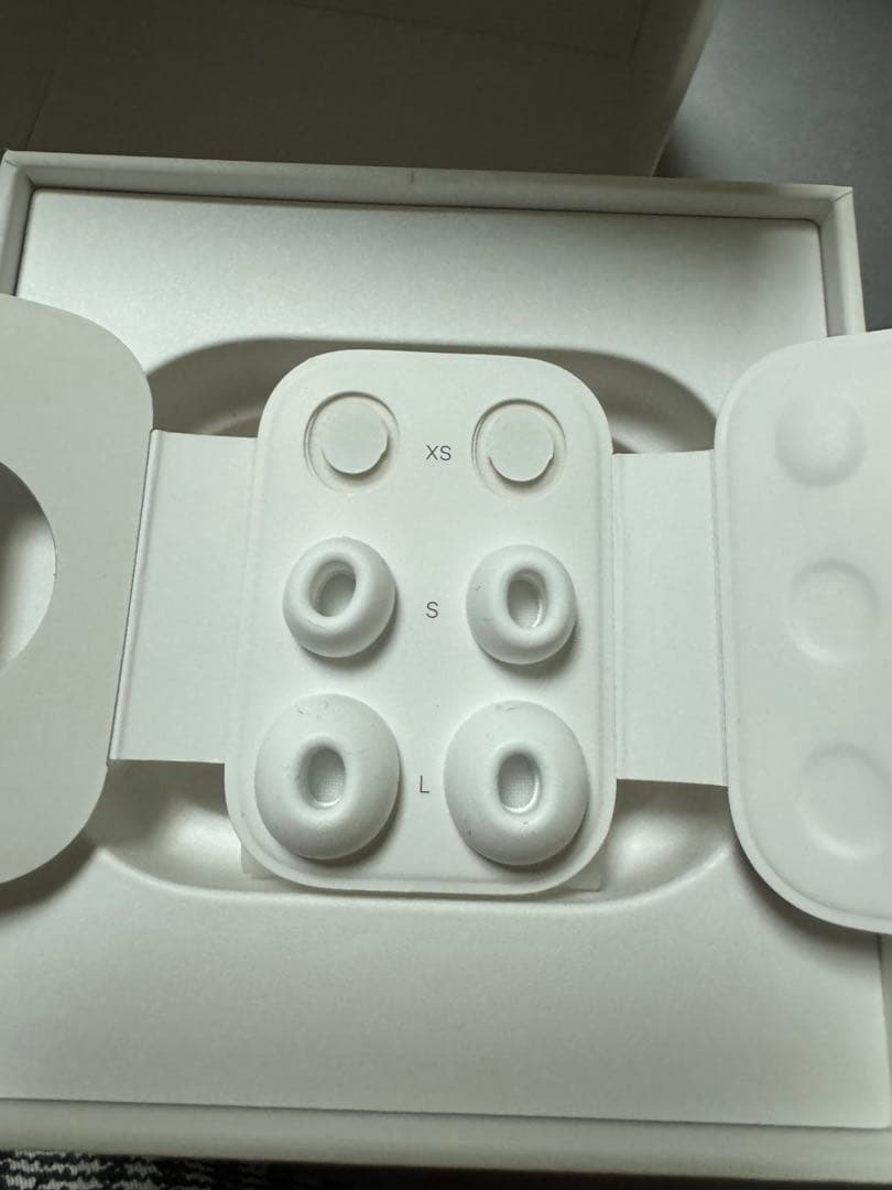 AirPods Pro2本体(USB-C) ケーブル、チップ未使用