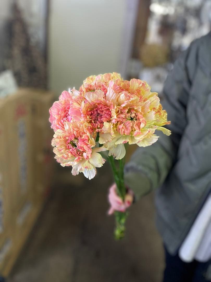 混同注文　スプレーバラクリスタルレッドandラナン