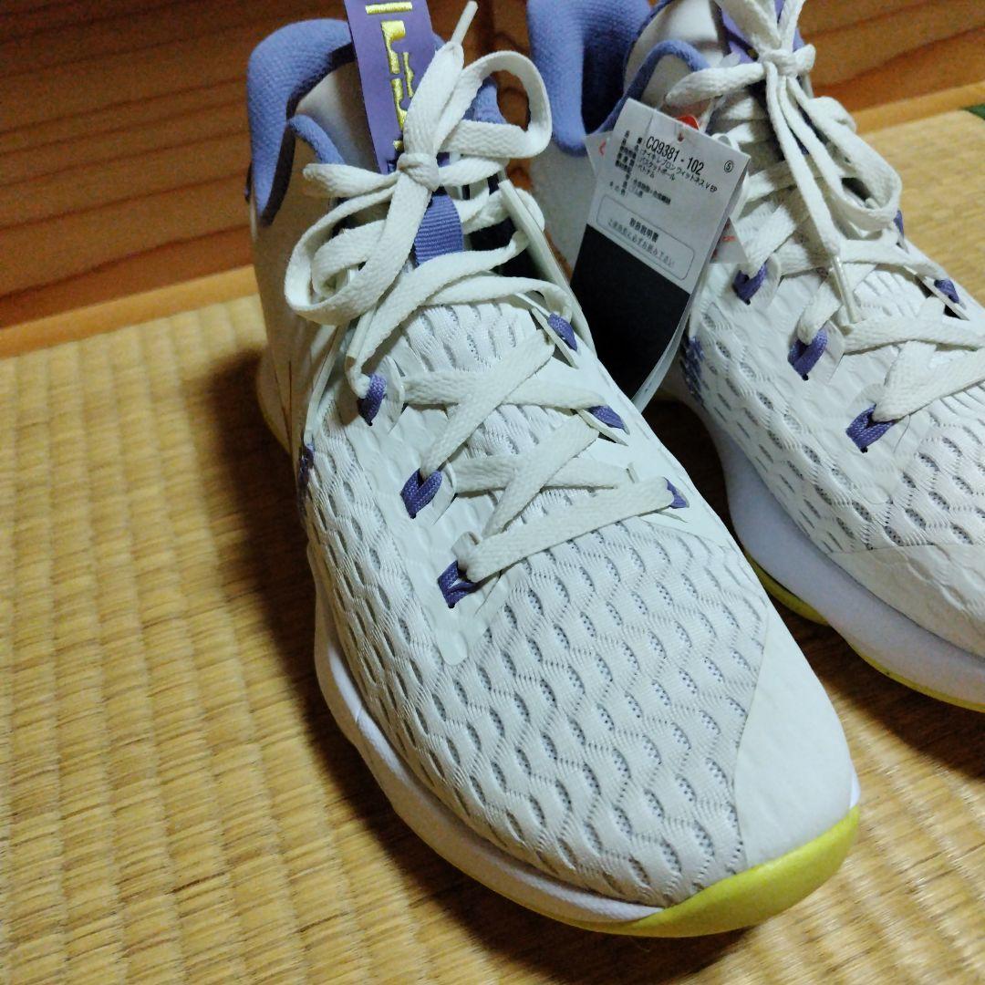 富樫勇樹選手サイン入りバスケットシューズ