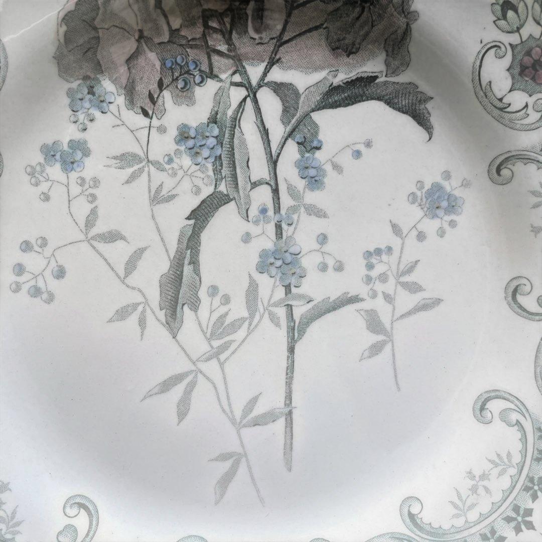 Choisy FLEURS COUPLES 切り花