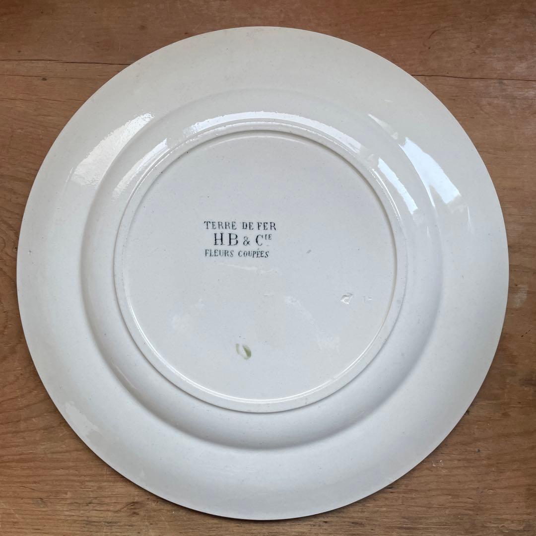 Choisy FLEURS COUPLES 切り花