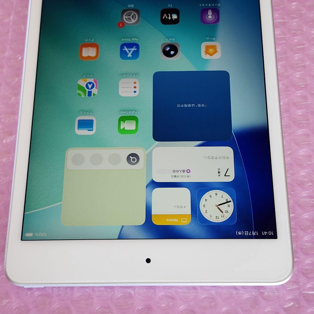 美品　iPad mini 第5世代　バッテリー良好　64GB　WiFiモデル