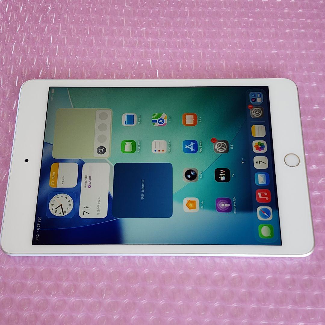 美品　iPad mini 第5世代　バッテリー良好　64GB　WiFiモデル