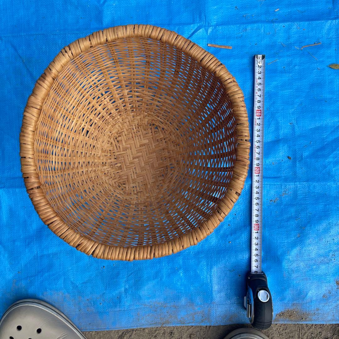 マタタビの籠 33番