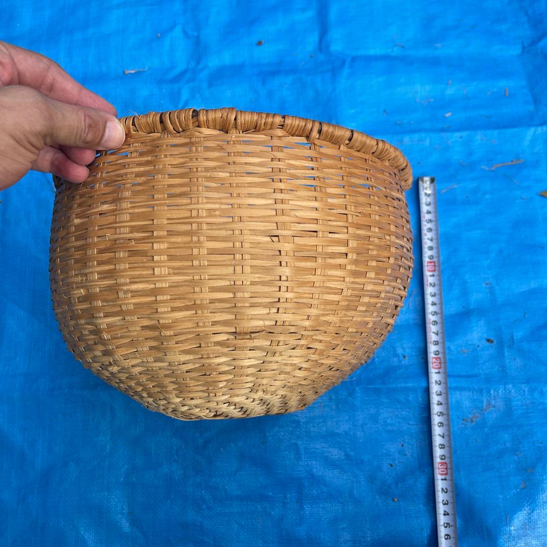 マタタビの籠 33番