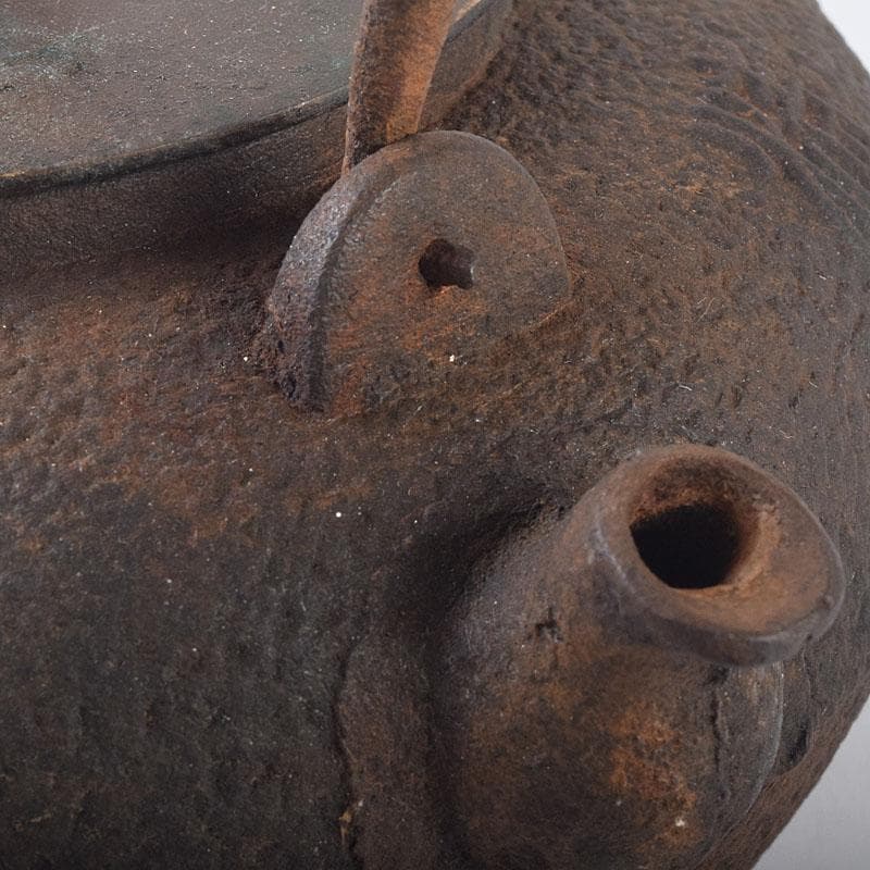 煎茶道具　金龍堂造　漢詩竹文　鉄瓶　鉄釜　M　R8870