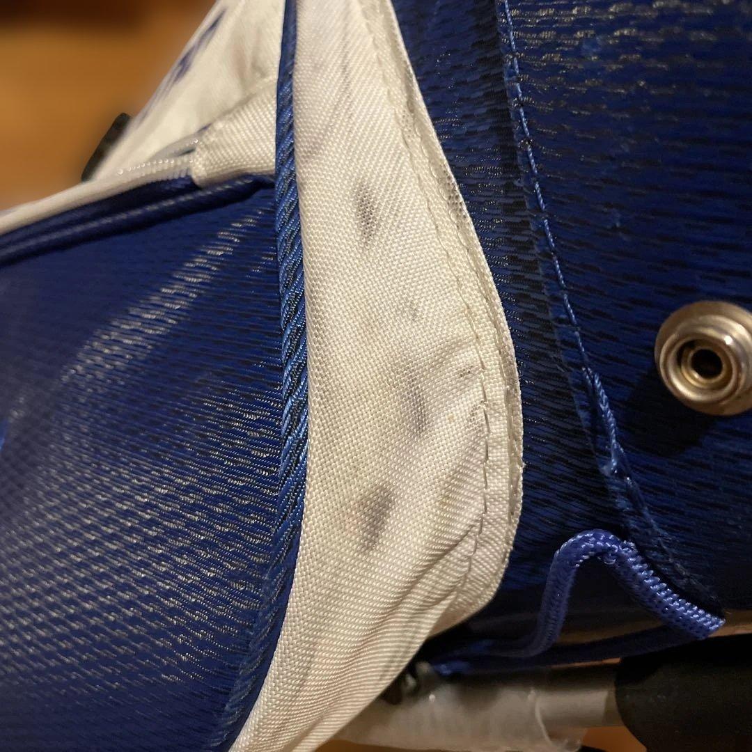 【希少カラー・スタンド式】Mizuno ゴルフ　キャディバッグ