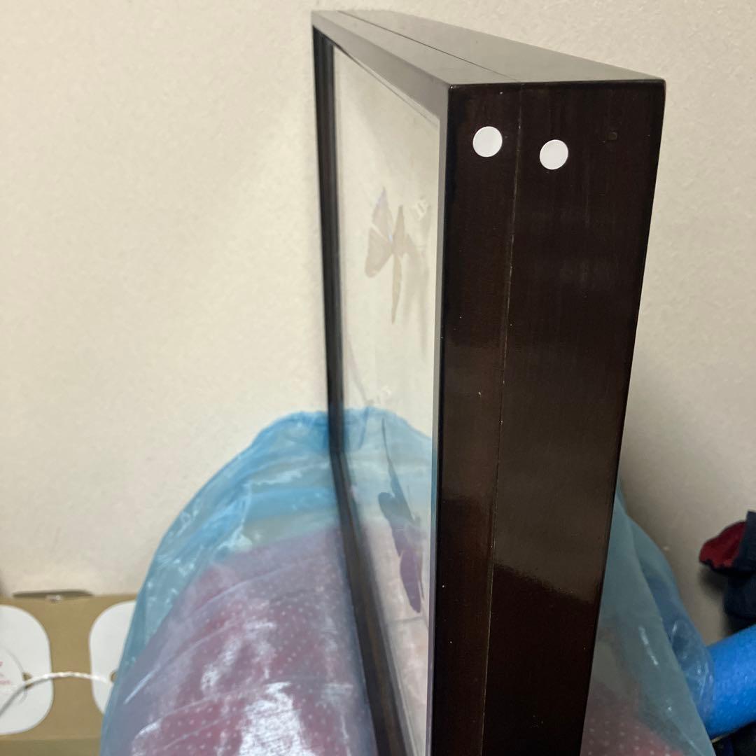 モルフォドイツ箱