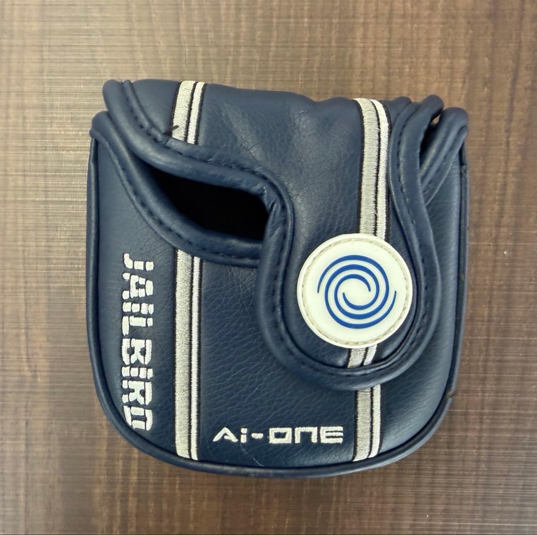 Odyssey Square 2 Square jailbird パター