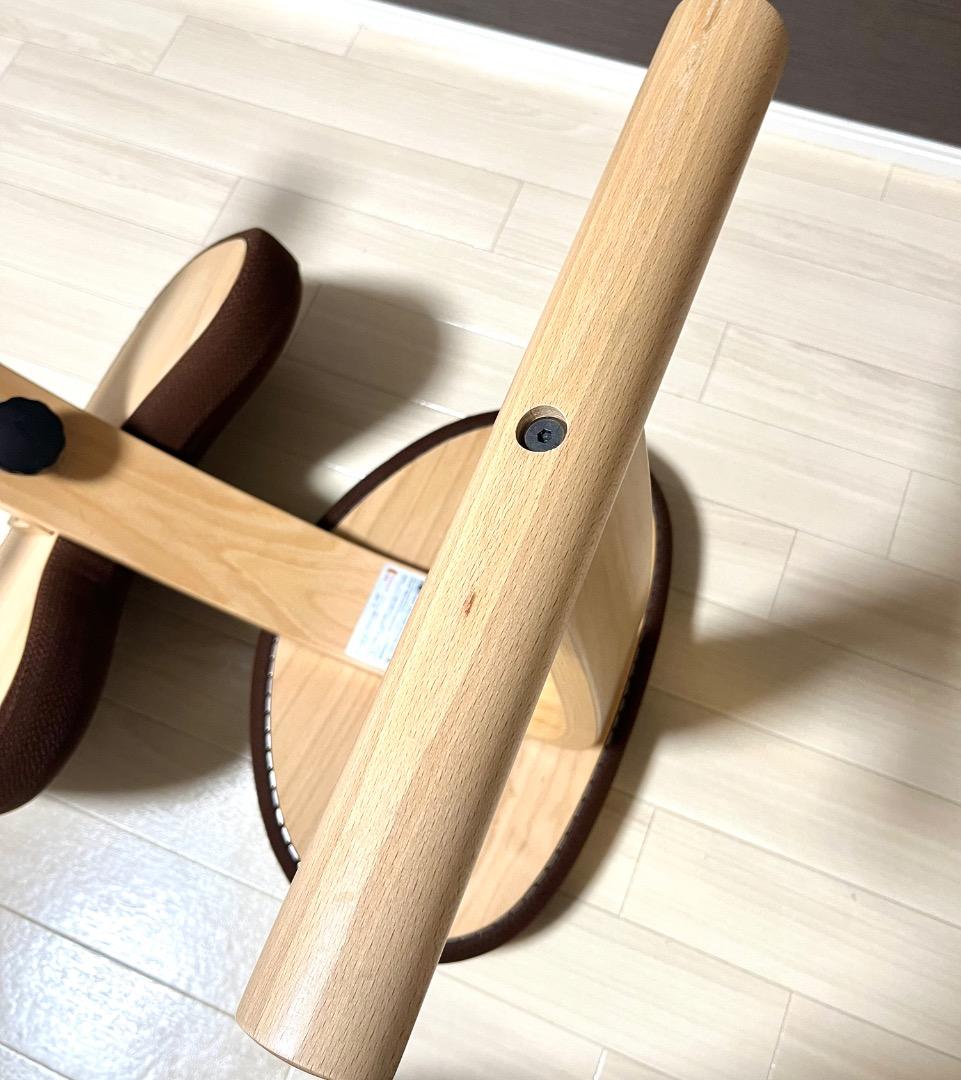 極美品　未使用　balans Easy バランスイージー 専用カバー付き