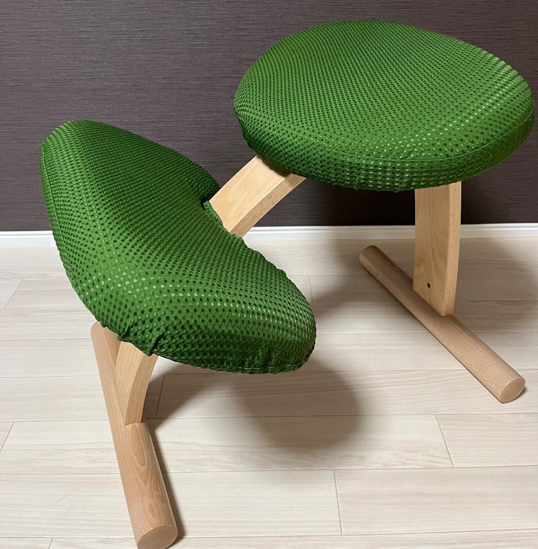 極美品　未使用　balans Easy バランスイージー 専用カバー付き