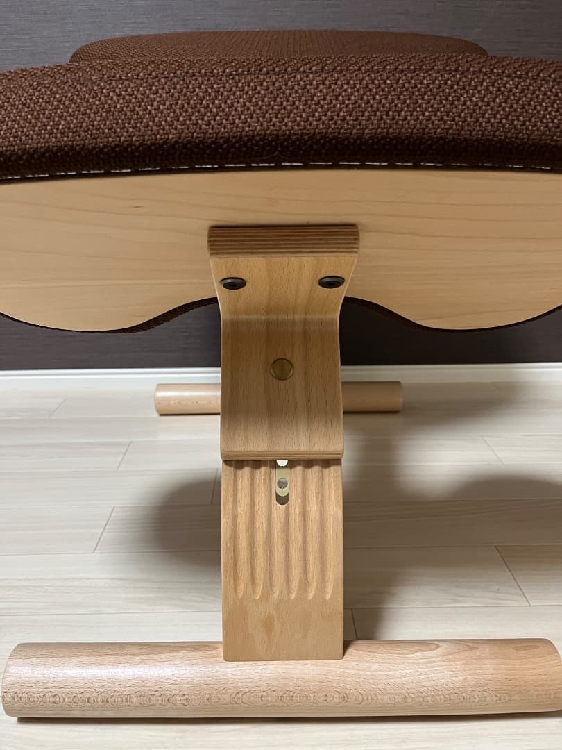 極美品　未使用　balans Easy バランスイージー 専用カバー付き