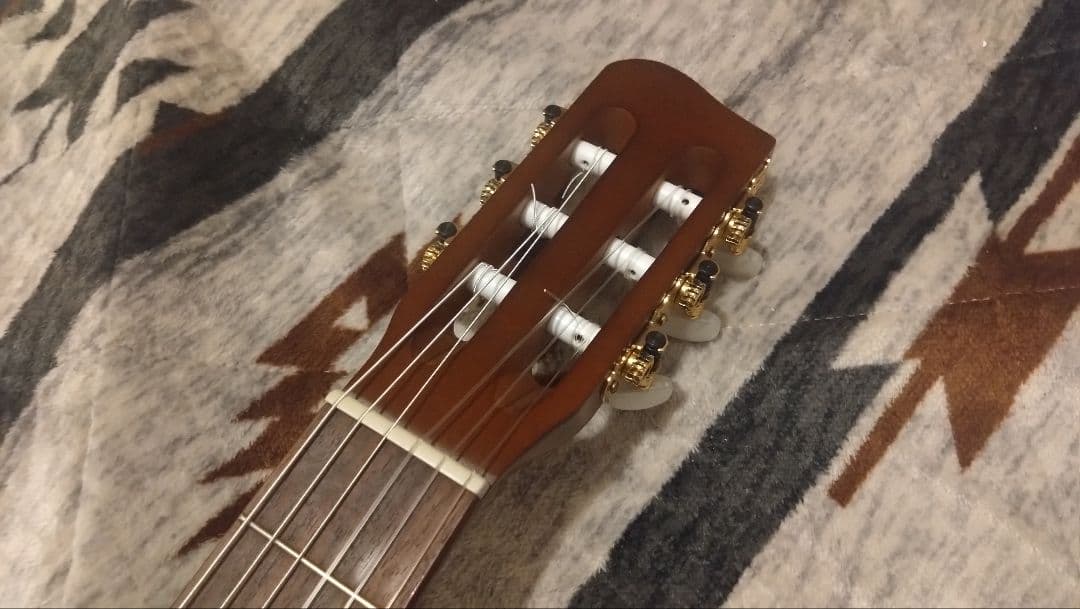 Art & Lutherie アート&ルシアー Ami Cedar Nylon