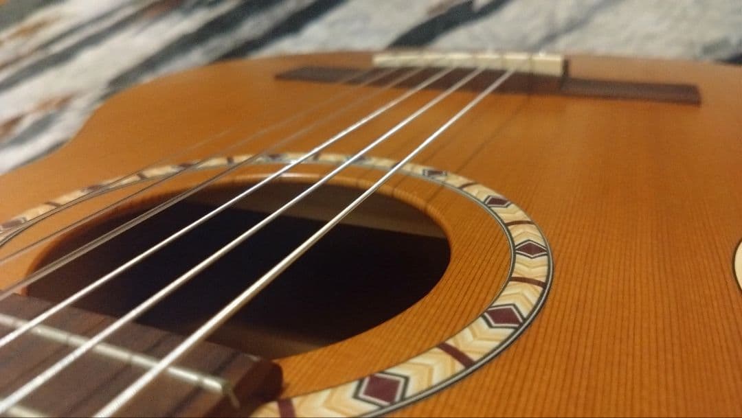 Art & Lutherie アート&ルシアー Ami Cedar Nylon