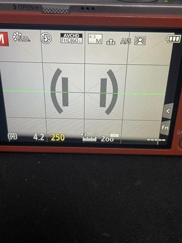 パナソニック Panasonic LUMIX DMC-GM1 レンズキット